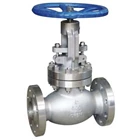 globe valve katup valves  2